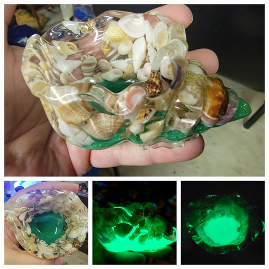 Seashell filled resin conch shell dish/ glows in dark