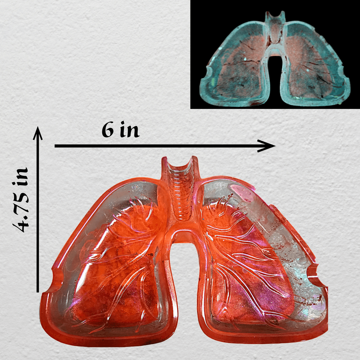 Resin Lung Ashtrays