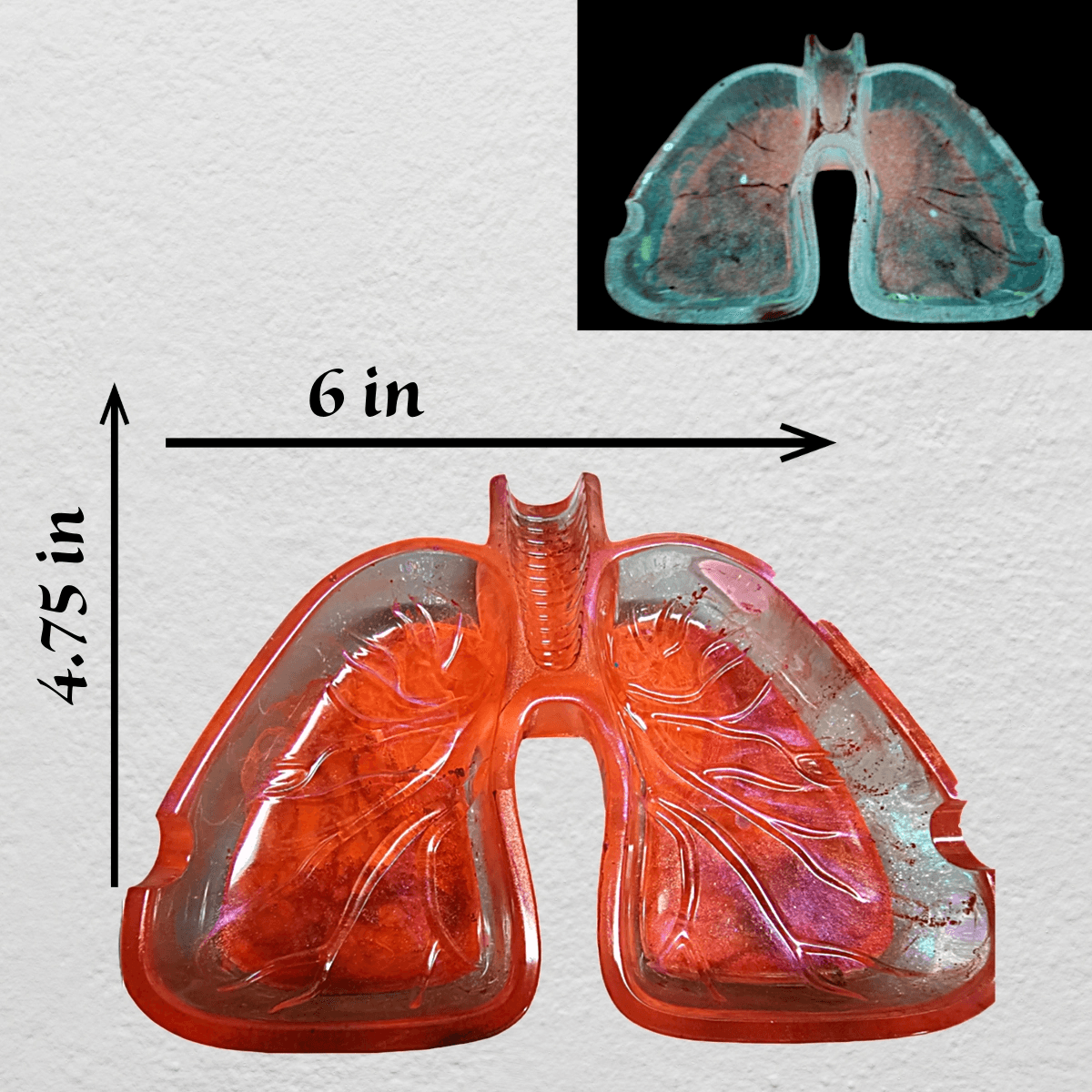 Resin Lung Ashtrays