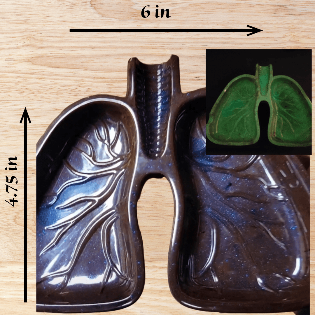 Resin Lung Ashtrays