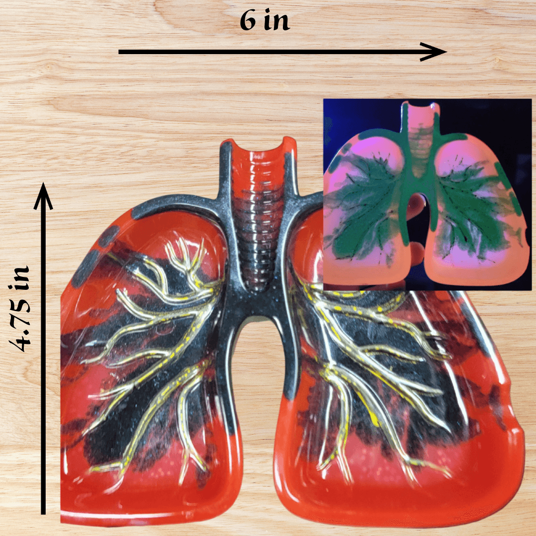 Resin Lung Ashtrays
