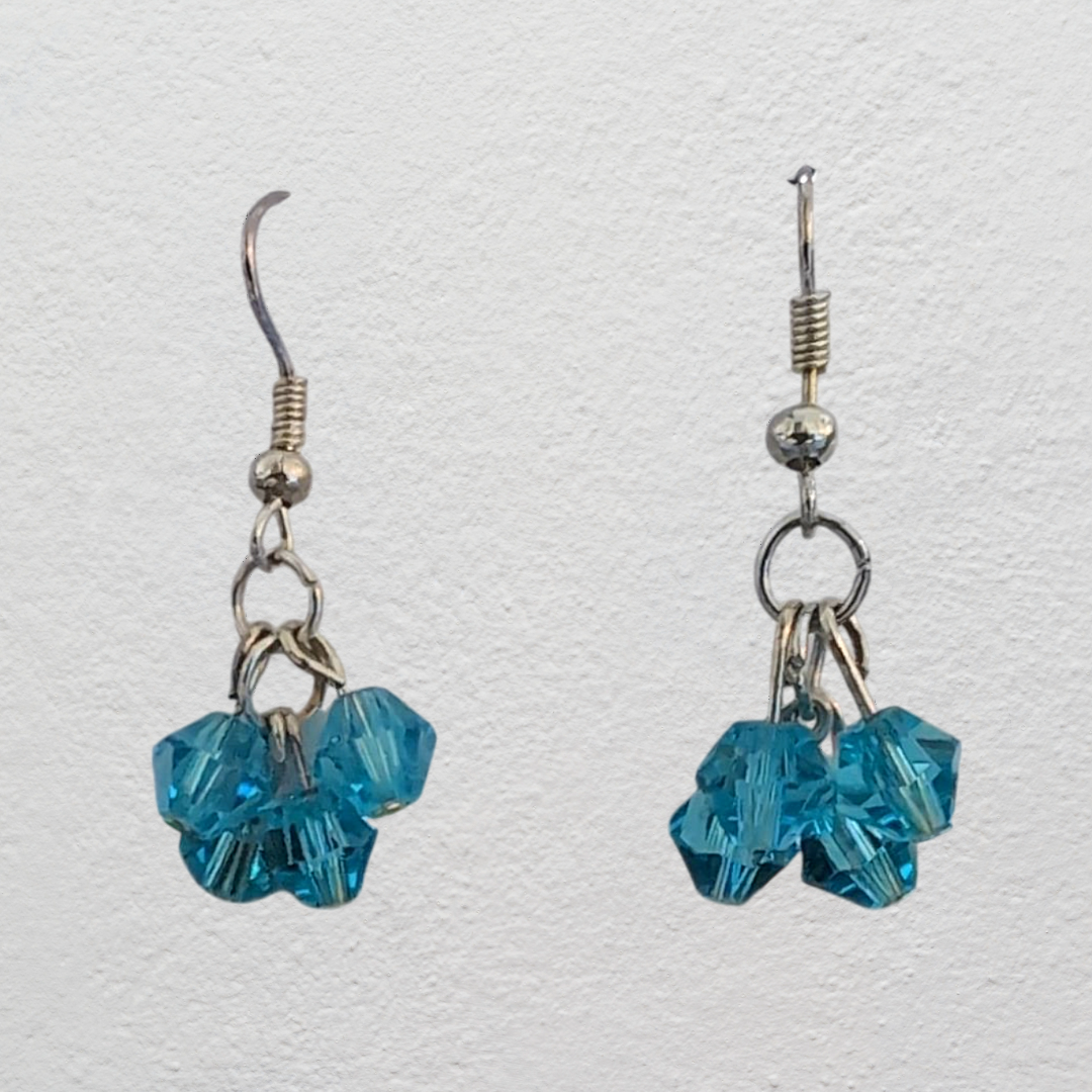 Beaded Dangle Earrings