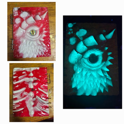 Dragon Eye Refillable Notebook/ Journal Diary Sketchbook