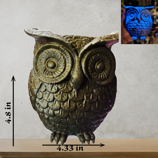 Owl Planter Indoor Outdoor - Fake or Real Plants Glow in the Dark