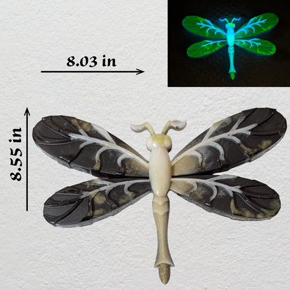 Dragonfly Wall Hangings